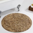 thumbnail image 1 of Dry Straw Round Carpet Circle Rug Outdoor Patio Area Rug Washable Large Area Rugs Hallway Room Decor Fitness Mats, 1 of 8