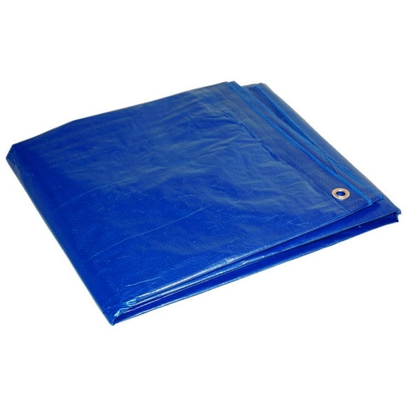 Dry Top 20 ft. W x 30 ft. L Medium Duty Polyethylene Tarp Blue