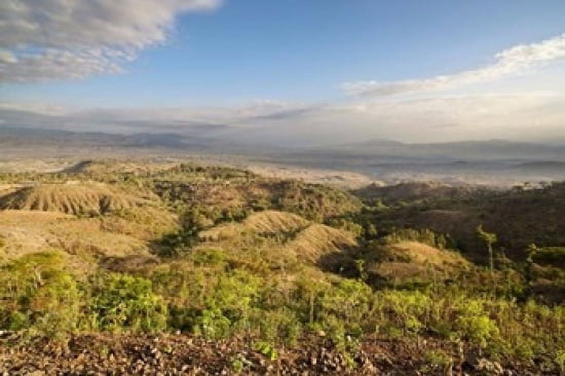 Dry farming on terraces Konso Rift valley Ethiopia Africa Canvas Art - Martin Zwick DanitaDelimont (19 x 12)
