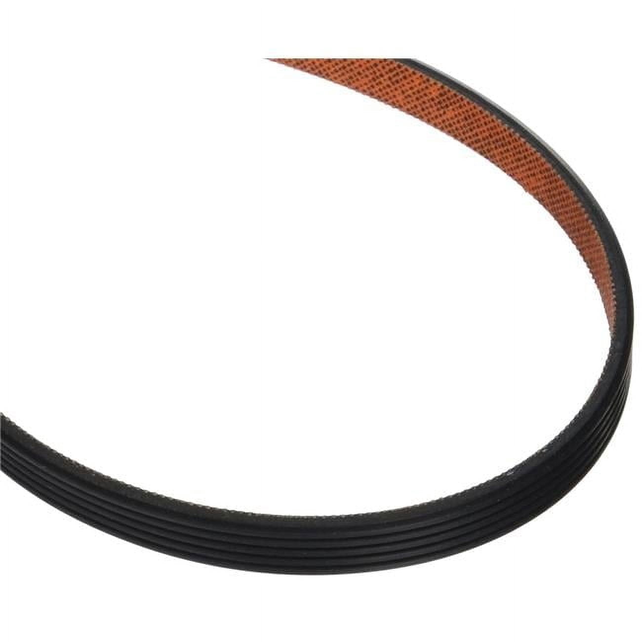 Dryer Drum Drive Belt for Whirlpool