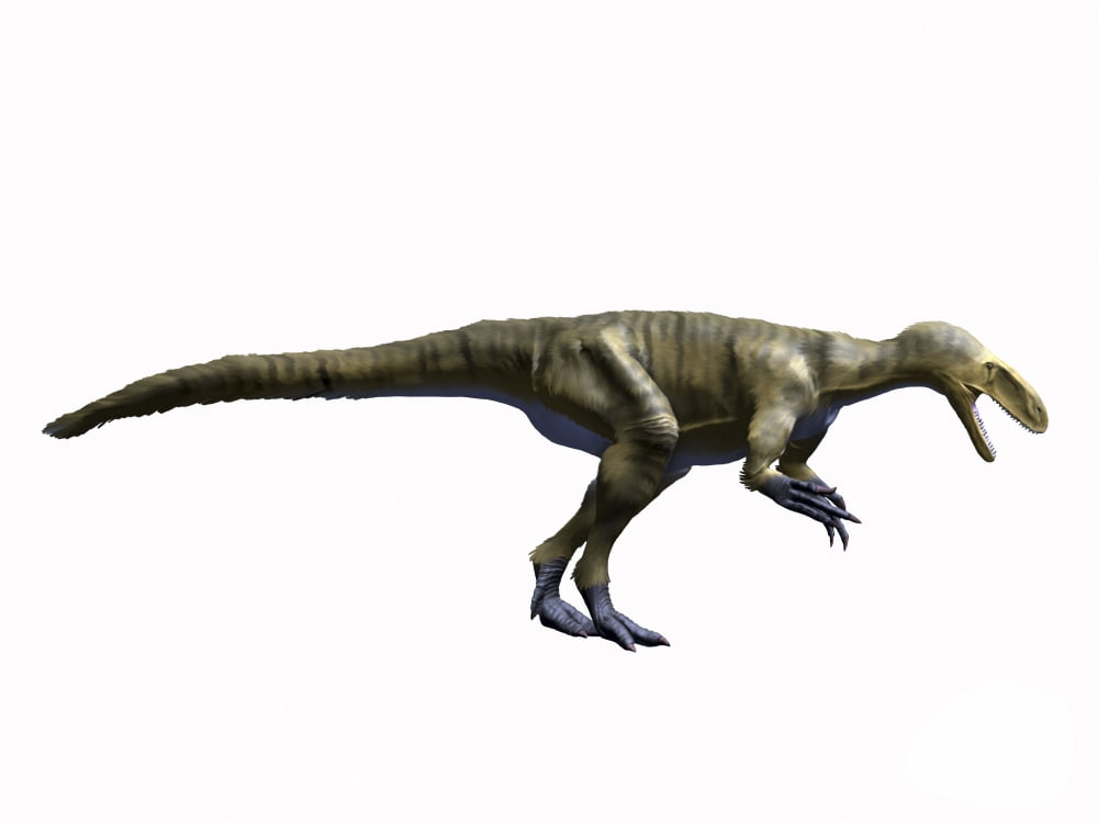 Dryptosaurus aquilunguis Late Cretaceous of New Jersey Canvas Art - Nobumichi TamuraStocktrek Images (33 x 25)