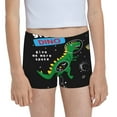 Easygdp Space Dino Cartoon Black Girls Hipster Cotton Underwear Little