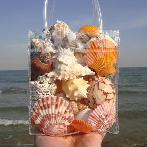 Dserhfy 1 Bag Natural Seashells Mixed Ocean Shells Starfish Conch Various Sizes Seashells Set for DIY Crafts Beach Theme Party Fish Tank Filling