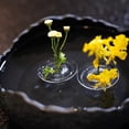 thumbnail image 1 of Dserhfy 10/20/30Pcs Floating Floral Arrangement Holder Clear Floating Flower Display Stand Hydroponics Water Planting Flower Bowl Stem Holder Decoration, 1 of 8