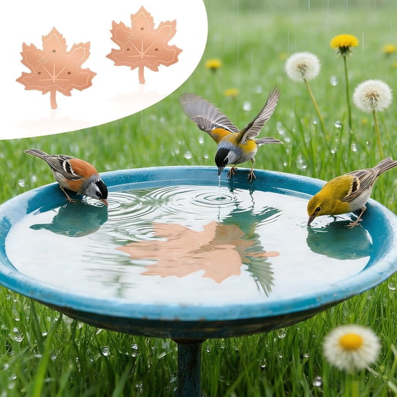 Dserhfy 99.99% Pure Copper Bird Bath Disk 0.6mm Thick Water Cleaner with Triple-Point Support All-Season Maple Leaf Shaped Bird Bath Purification Disk for Outdoor Birdbaths Bowl
