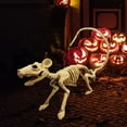 thumbnail image 1 of Dserhfy Halloween Mouse Skeleton Ornament Creepy Realistic Animal Skeleton Bone for Party Featival Decoration, 1 of 7