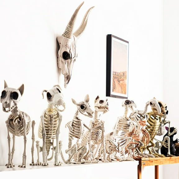 Dserhfy Halloween Skeleton Animal Decoration Creepy Cat/Dog/Bird/Rat/Goat Head Plastic Bones for Courtyard Graveyard Halloween Decor