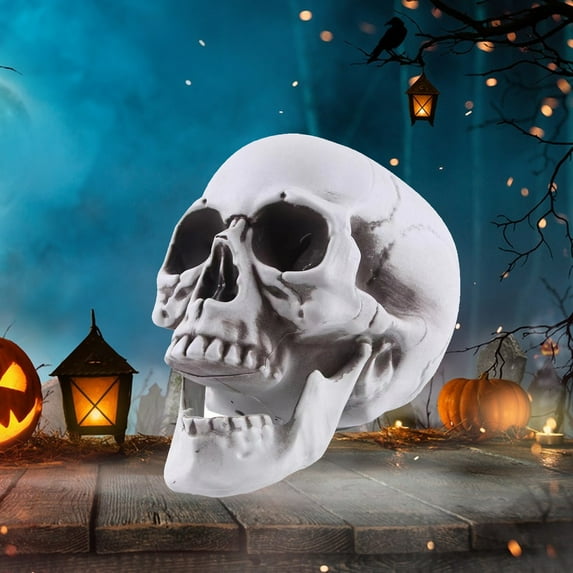 Dserhfy Life Size Human Skull Model Halloween Decor Skeleton Skull Realistic Human Adult Skull Head Bone Model Graveyard Outdoor Decor