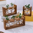 thumbnail image 1 of Dserhfy Plants Propagation Station with Wooden Stand Indoor Plant Terrarium Hydroponic Flower Holder Container Decoration Table Centerpiece, 1 of 7