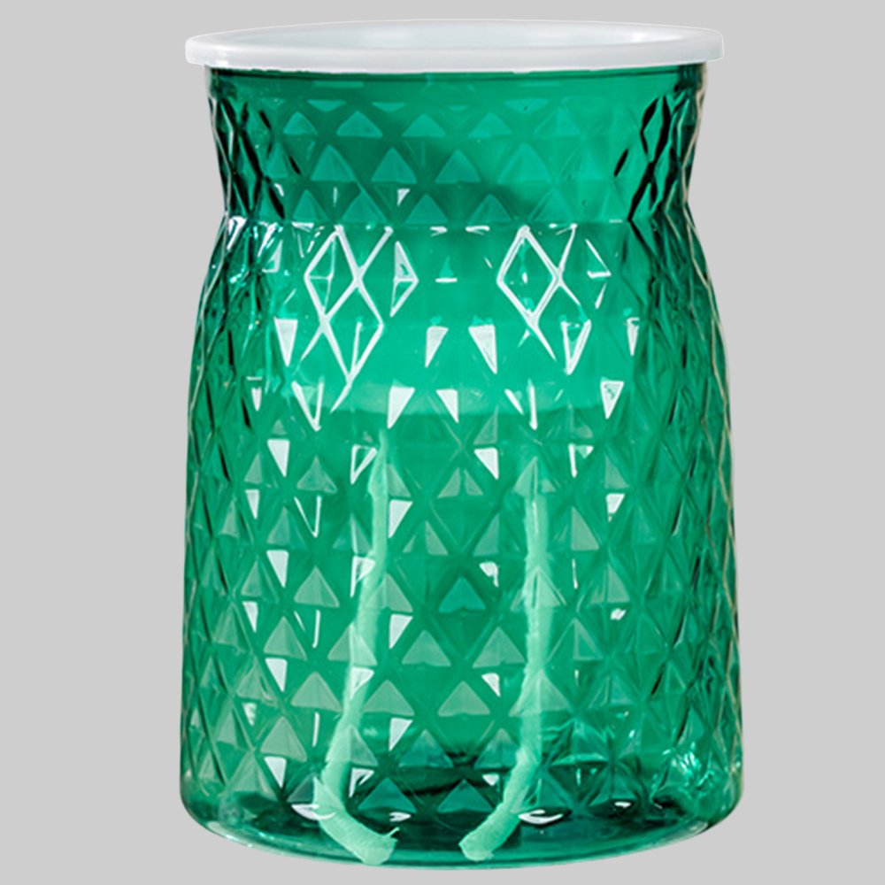 Dsseng Clear Plastic Flower Vases Water Planting Vase with Selfpriming