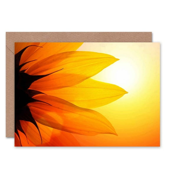 Dt Bright Sunflower Petals Birthday Greetings Card Plus Envelope Blank inside