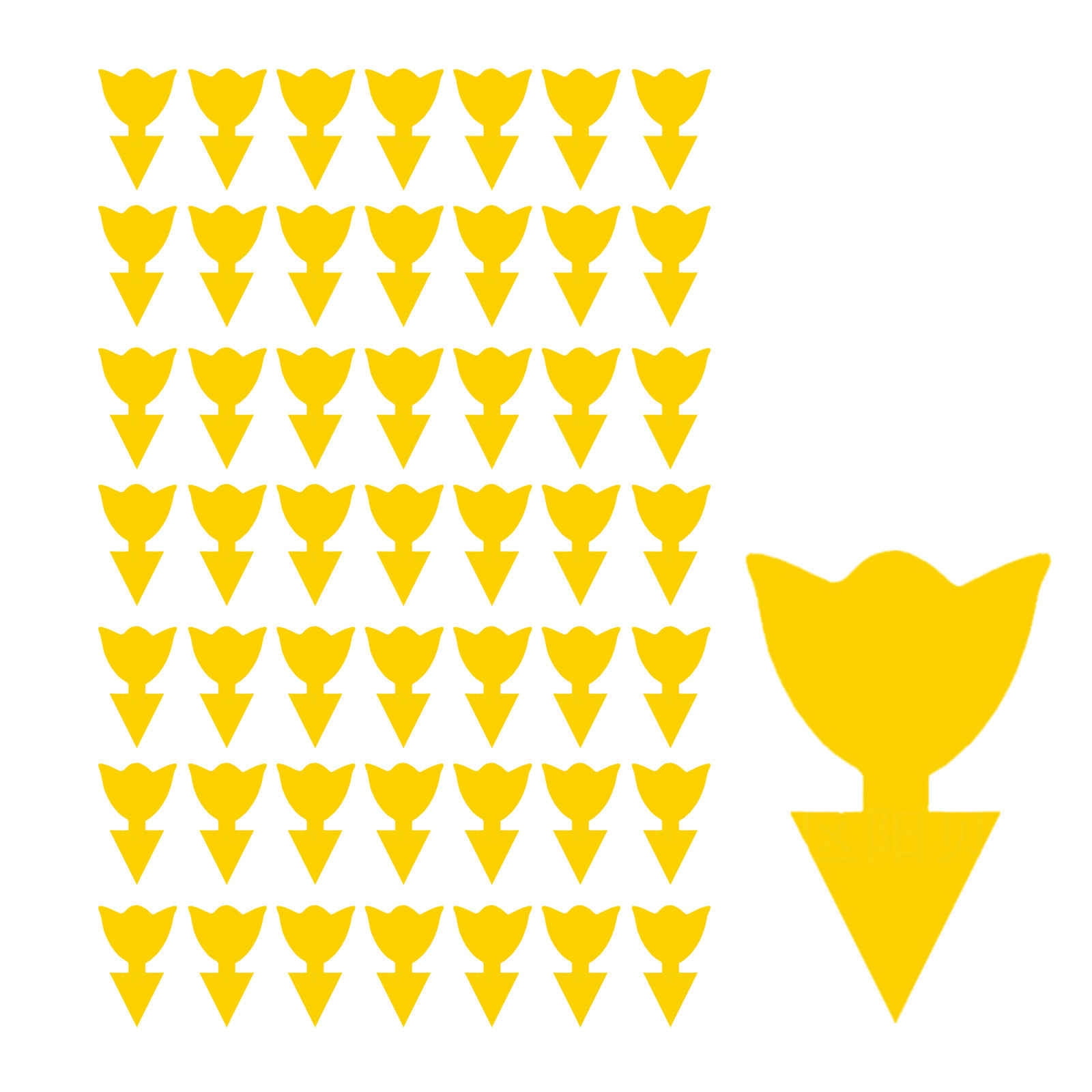 Dt1100tn19 Large Glue Gnat Sticks for Indoor Clothes Moth 50PCS Fruit