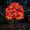 thumbnail image 1 of Dtchengua 2 Pack Artificial Topiary Ball Trees With Light for Outdoor, UV Resistant Fake Plants Shrubs Bushes,Realistic Faux Flowers Greenery Spring Deko for Front Porch,Garden,Yard,Patio(Hot Pink), 1 of 6