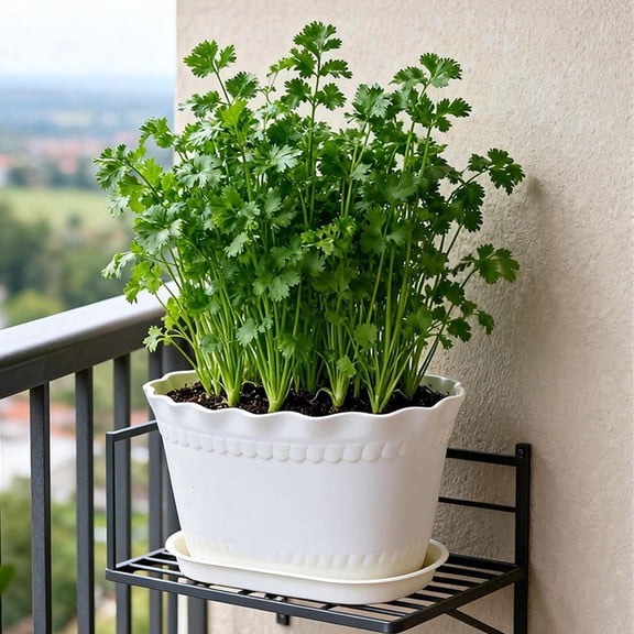 Dtchengua 7.4 Inch Wave Plant Pots with Drainage Holes & Saucers, 4 Pack Modern Textured Medium Planters for Indoor Outdoor Plants, Decorative Flower Pots Repotting Set for Flowers, Herbs