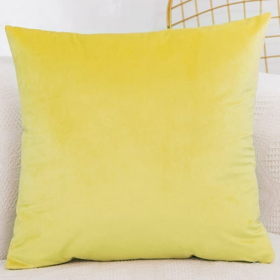 Dtwnek 1 Pc Velvet Throw Pillow Cover, Decorative Square Pillowcase Soft Cushion Cover Case for Sofa Bedroom Car, 15.75x15.75 inch