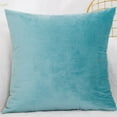 thumbnail image 1 of Dtwnek 1 Pc Velvet Throw Pillow Cover, Decorative Square Pillowcase Soft Cushion Cover Case for Sofa Bedroom Car, 17.72x17.72 inch, 1 of 8