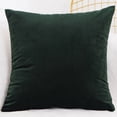 thumbnail image 1 of Dtwnek 1 Pc Velvet Throw Pillow Cover, Decorative Square Pillowcase Soft Cushion Cover Case for Sofa Bedroom Car, 21.65x21.65 inch, 1 of 8