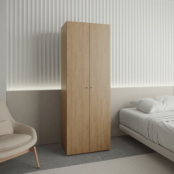 Dtwnek 2 Doors Armoire with Hanging Rod and Shelf, Modern Storage Cabinet for Bedroom, Living Room, Brown