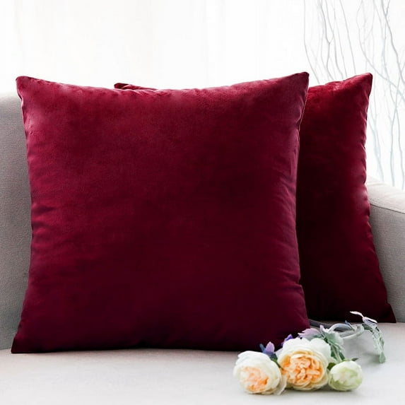 Dtwnek 2 Pack Throw Pillow Covers Soft Velvet Solid Square Pillow Cases Fashion Cushion Covers Case for Sofa Car Office Living Room, 22x22inch