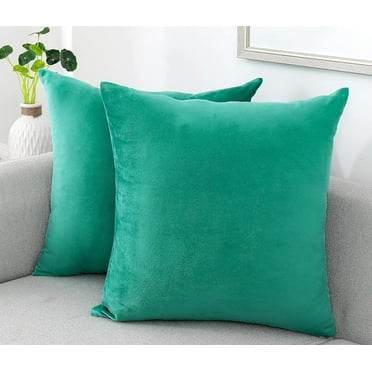 Dtwnek 2 Pack Velvet Decorative Throw Pillow Covers with Zipper, Soft Cushion Covers Pillow Case for Couch Sofa Bed, 16 x 16inch