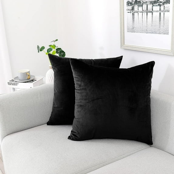 Dtwnek 2 Pack Velvet Decorative Throw Pillow Covers with Zipper, Soft Cushion Covers Pillow Case for Couch Sofa Bed, 20 x 20inch