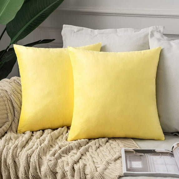 Dtwnek 2 Pcs Soft Decorative Square Pillowcases, Velvet Throw Pillow Covers, Luxury Cushion Case for Couch Sofa Bed, 22x22 inch