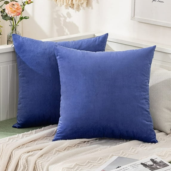Dtwnek 2 Pcs Soft Decorative Square Pillowcases, Velvet Throw Pillow Covers, Luxury Cushion Case for Couch Sofa Bed, 22x22 inch