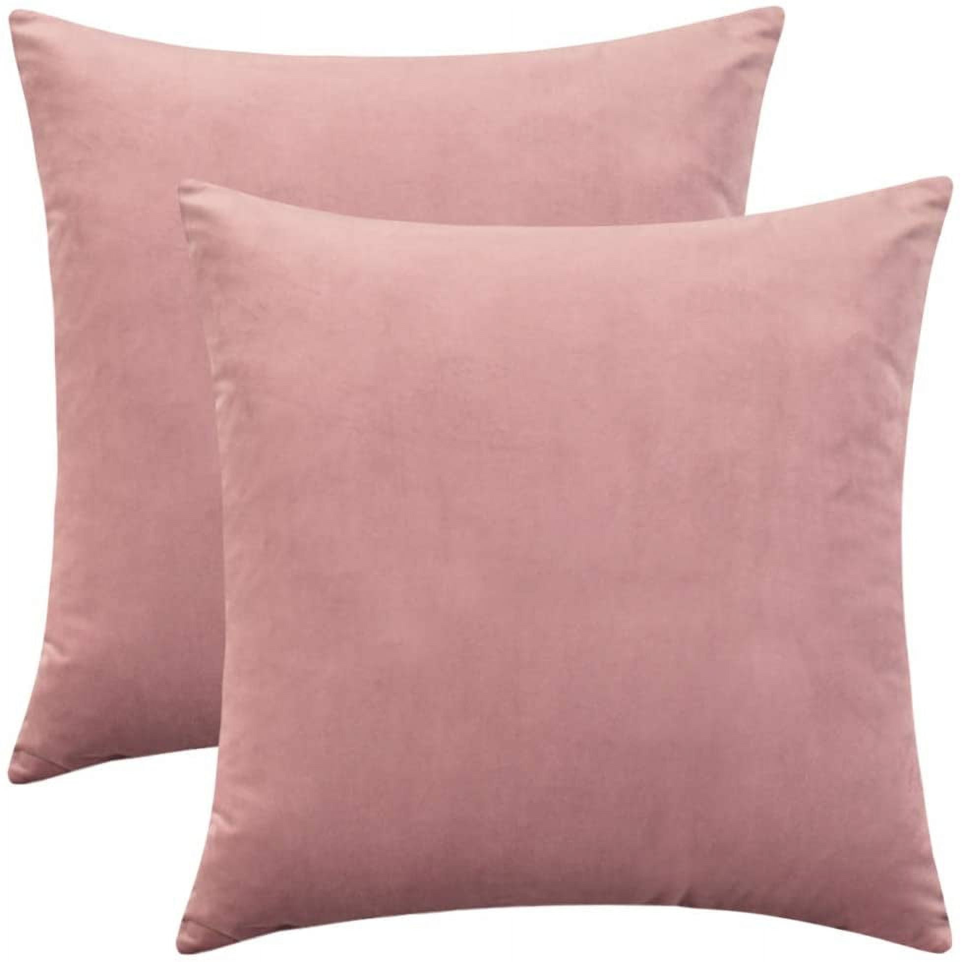 Dtwnek Pack of 2 Soft Thick Velvet Throw Pillow Covers Decorative Solid Square Cushion Cases for Sofa Couch Bedroom Car, 24x24 inch