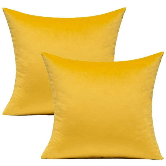 Dtwnek Pack of 2 Velvet Decorative Throw Pillow Cover Soft Solid Square Cushion Case Pillow Case for Couch Sofa Bed Office, 16"x16"