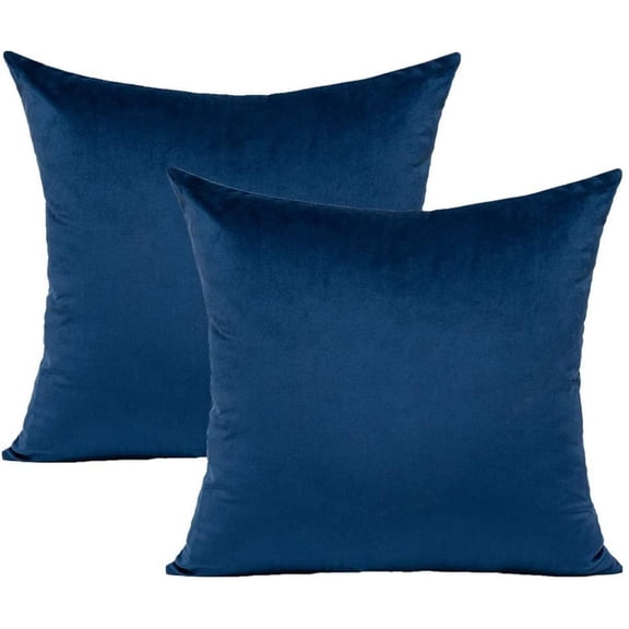 Dtwnek Pack of 2 Velvet Decorative Throw Pillow Cover Soft Solid Square Cushion Case Pillow Case for Couch Sofa Bed Office, 22"x22"