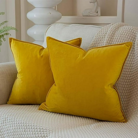 Dtwnek Pack of 2 Velvet Super Soft Cushion Case Solid Decorative Square Throw Pillow Covers Set for Sofa Bedroom Car, 20 x 20 inch