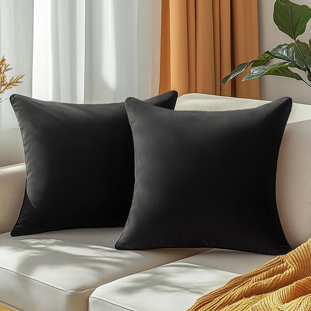 Dtwnek Pack of 2 Velvet Throw Pillow Covers Decorative Pillow Case Solid Color Cushion Case for Couch Living Room Sofa Bedroom Car, 16x16inch