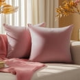 thumbnail image 1 of Dtwnek Pack of 2 Velvet Throw Pillow Covers Decorative Pillow Case Solid Color Cushion Case for Couch Living Room Sofa Bedroom Car, 16x16inch, 1 of 7