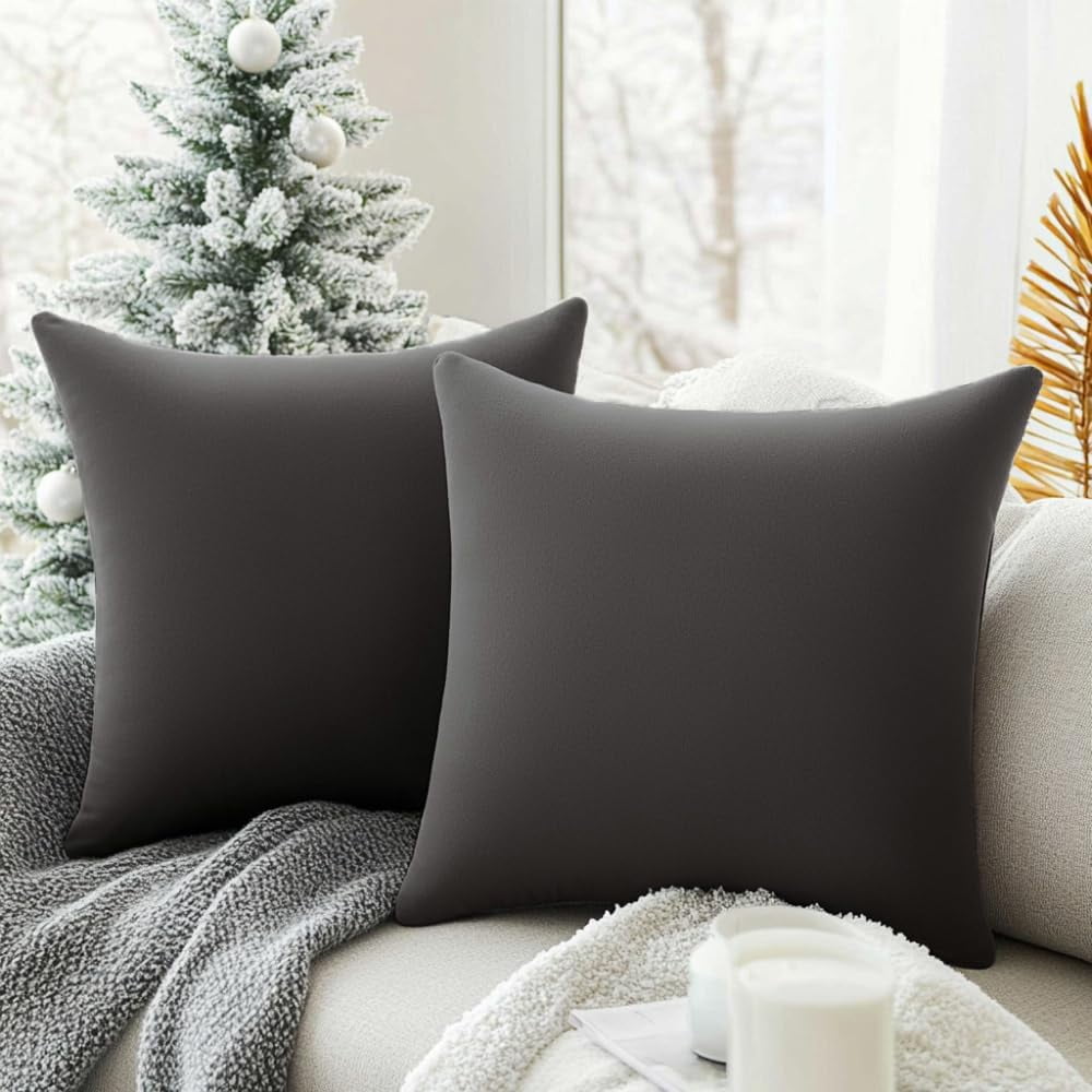 Dtwnek Pack of 2 Velvet Throw Pillow Covers Decorative Pillow Case Solid Color Cushion Case for Couch Living Room Sofa Bedroom Car, 16x16inch
