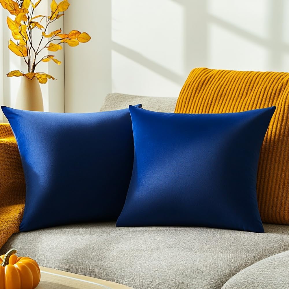 Dtwnek Pack of 2 Velvet Throw Pillow Covers Decorative Pillow Case Solid Color Cushion Case for Couch Living Room Sofa Bedroom Car, 18x18inch