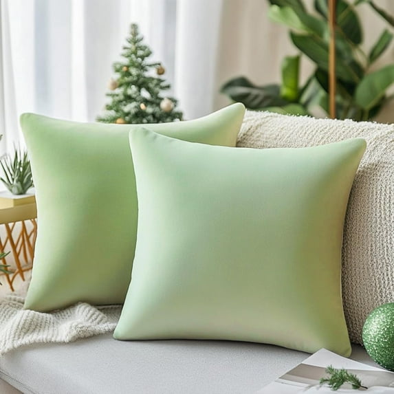 Dtwnek Pack of 2 Velvet Throw Pillow Covers Decorative Pillow Case Solid Color Cushion Case for Couch Living Room Sofa Bedroom Car, 22x22inch