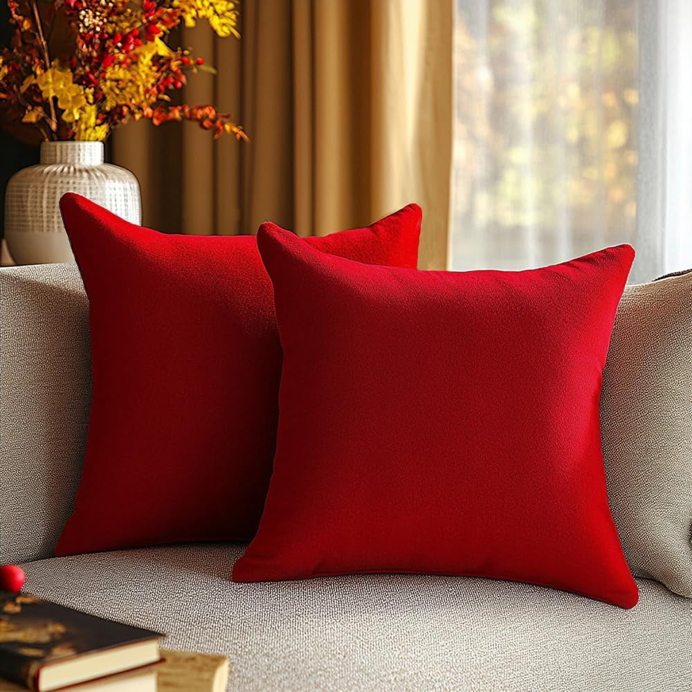 Dtwnek Pack of 2 Velvet Throw Pillow Covers Decorative Pillow Case Solid Color Cushion Case for Couch Living Room Sofa Bedroom Car, 24x24inch