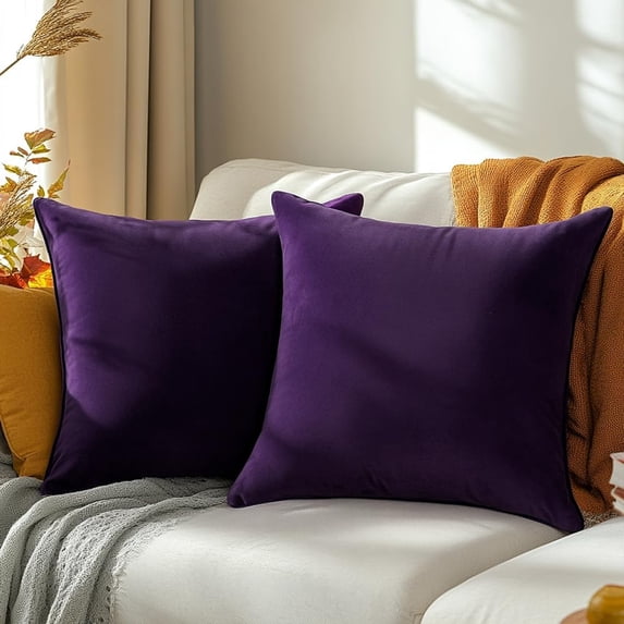 Dtwnek Pack of 2 Velvet Throw Pillow Covers Decorative Pillow Case Solid Color Cushion Case for Couch Living Room Sofa Bedroom Car, 24x24inch
