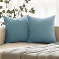 thumbnail image 1 of Dtwnek Pack of 2 Velvet Throw Pillow Covers Decorative Soft Velvet Pillow Case Square Cushion Case for Couch Sofa Bed, 20"x20", 1 of 7
