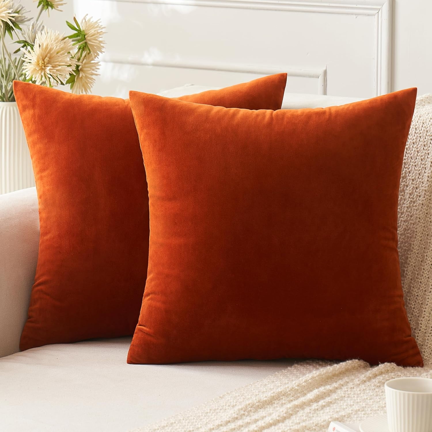 Dtwnek Pack of 2 Velvet Throw Pillow Covers Decorative Soft Velvet Pillow Case Square Cushion Case for Couch Sofa Bed, 20"x20"