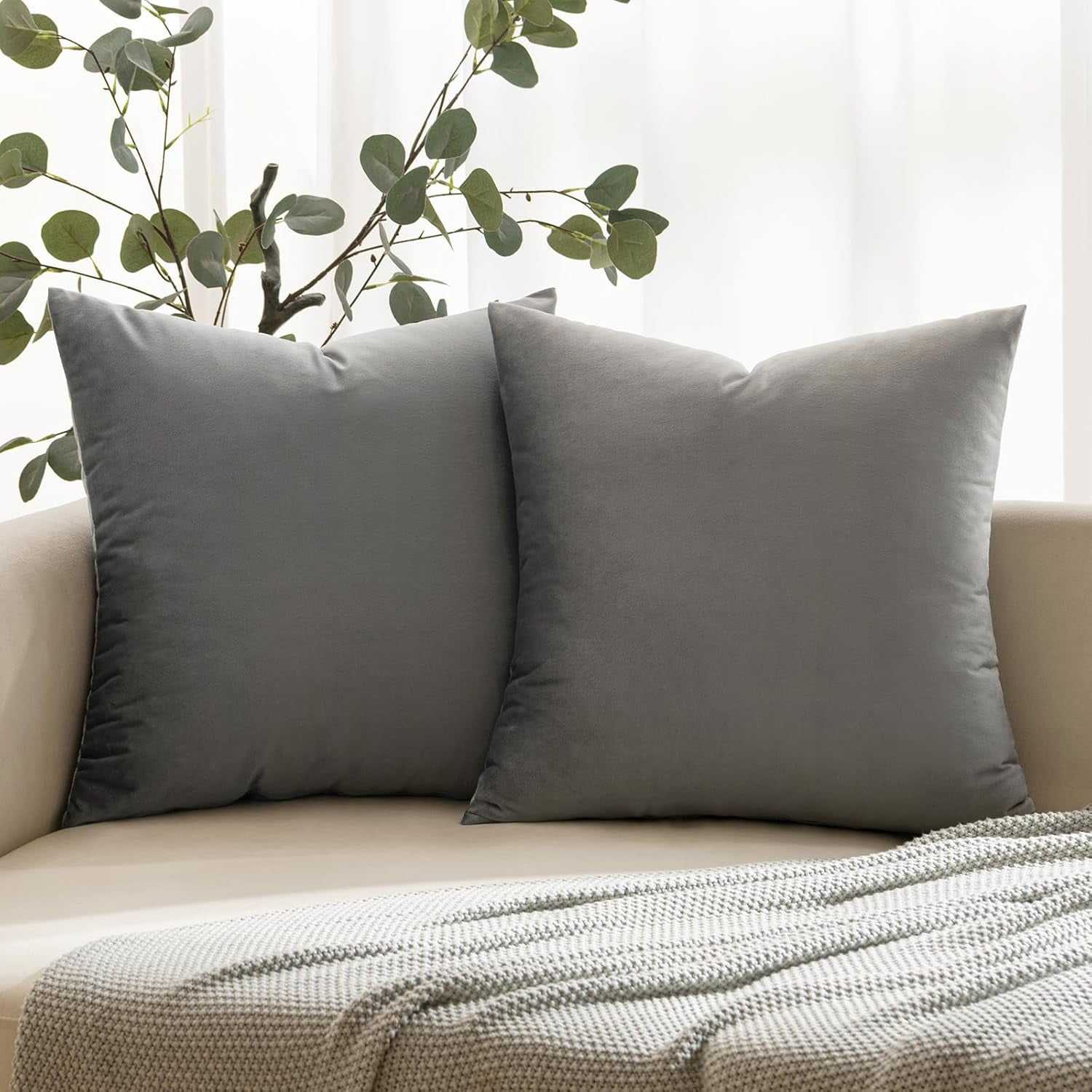 Dtwnek Pack of 2 Velvet Throw Pillow Covers Decorative Soft Velvet Pillow Case Square Cushion Case for Couch Sofa Bed, 20"x20"