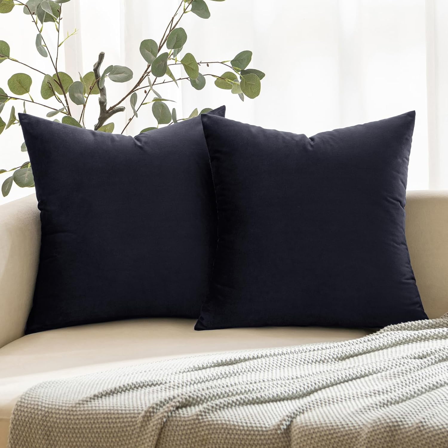 Dtwnek Pack of 2 Velvet Throw Pillow Covers Decorative Soft Velvet Pillow Case Square Cushion Case for Couch Sofa Bed, 22"x22"