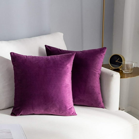 Dtwnek Set of 2 Velvet Pillow Covers Washable Decorative Fabric Throw Pillow Covers for Couch, Bed, 16 x 16 Inches