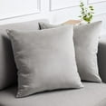 thumbnail image 1 of Dtwnek Set of 2 Velvet Pillow Covers Washable Decorative Fabric Throw Pillow Covers for Couch, Bed, 16 x 16 Inches, 1 of 5