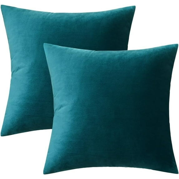 Dtwnek Set of 2 Velvet Pillow Covers Washable Decorative Fabric Throw Pillow Covers for Couch, Bed, 16 x 16 Inches