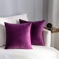 thumbnail image 1 of Dtwnek Set of 2 Velvet Pillow Covers Washable Decorative Fabric Throw Pillow Covers for Couch, Bed, 18 x 18 Inches, 1 of 5