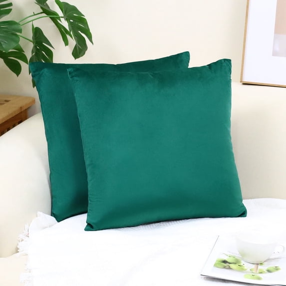 Dtwnek Set of 2 Velvet Throw Pillow Cover for Couch Sofa Bed Livingroom Car, Soft Square Cushion Cover, 22x22 inch