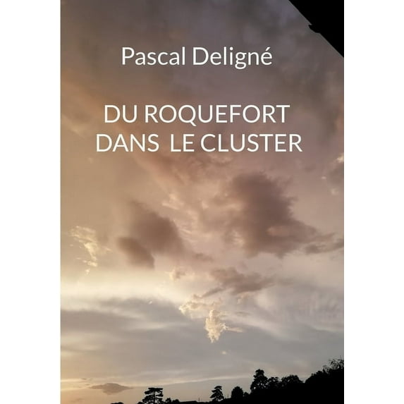 Du roquefort dans le cluster, (Paperback)