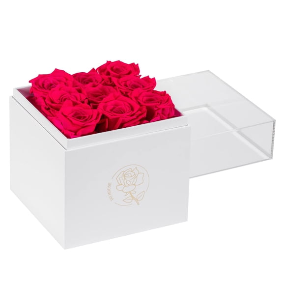 DuHouse 9pcs Preservd Rose in Acrylic Box Eternal Flower That Lasts 4 Years Gifts for Girlfriend Wife Mom Women Valentines Gift Anniversary Birthday(Hot Pink) A101