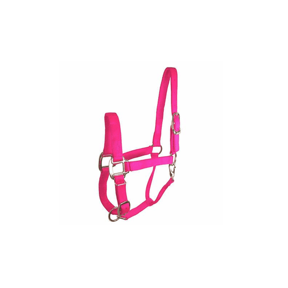 DuMOR 1052693 Weanling/Small Pony Hot Pink-Colored Premium 200-300lb Colt Halter